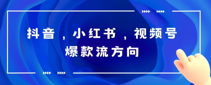 【副业项目6104期】抖音，小红书，视频号爆款流视频制作，简单制作掌握流量密码-宏欣副业精选