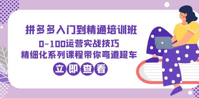 【副业项目6297期】2023拼多多入门到精通培训班：0-100运营实战技巧 精细化系列课带你弯道超车-宏欣副业精选