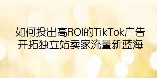 【副业项目6124期】如何投出高ROI·TikTok广告，开拓独立站卖家流量新蓝海-宏欣副业精选