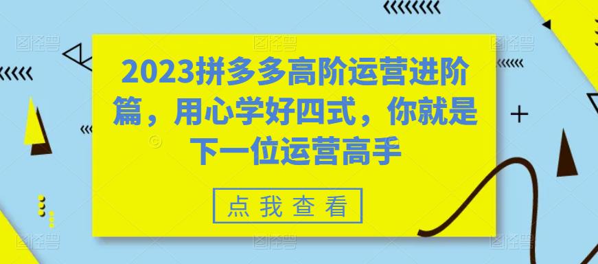 【副业项目6241期】2023拼多多高阶运营进阶篇，用心学好四式，你就是下一位运营高手-宏欣副业精选