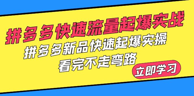 【副业项目6310期】拼多多-快速流量起爆实战，拼多多新品快速起爆实操，看完不走弯路-宏欣副业精选