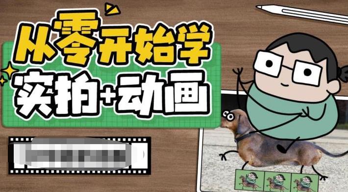 【副业项目6738期】从零开始学实拍加动画，实拍加动画创意教程（49节视频课）-宏欣副业精选