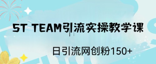 【副业项目6745期】ST TEAM引流实操课，日引流网创粉100+-宏欣副业精选