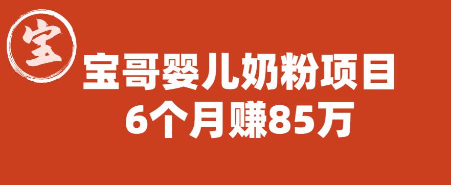 【副业项目6416期】宝哥婴儿奶粉项目，6个月赚85w【图文非视频】【揭秘】-宏欣副业精选