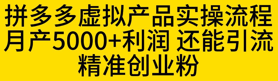 【副业项目6569期】拼多多虚拟产品实操流程，月产5000+利润，还能引流精准创业粉-宏欣副业精选