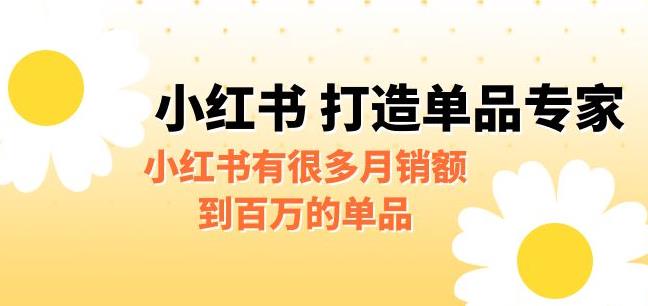 【副业项目6703期】某公众号付费文章《小红书打造单品专家》小红书有很多月销额到百万的单品-宏欣副业精选