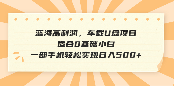 【副业项目6800期】蓝海高利润，车载U盘项目，适合0基础小白，一部手机轻松实现日入500+-宏欣副业精选