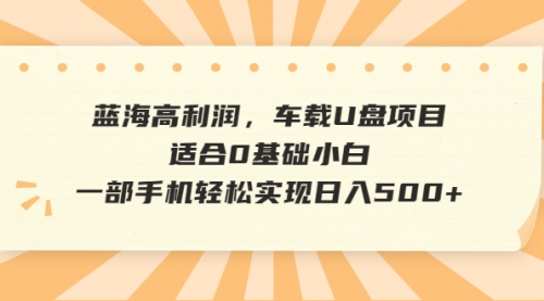 【副业项目6781期】蓝海高利润，车载U盘项目，适合0基础小白，一部手机轻松实现一天500+-宏欣副业精选