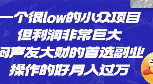 【副业项目6782期】一个很low的小众项目，但利润非常巨大，闷声发大财的首选副业，月入过万-宏欣副业精选