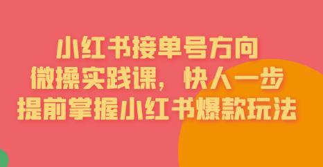 【副业项目6820期】接单号方向·小红书微操实践课，快人一步，提前掌握小红书爆款玩法-宏欣副业精选