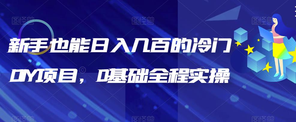 【副业项目6865期】新手也能日入几百的冷门DIY项目，0基础全程实操【揭秘】-宏欣副业精选