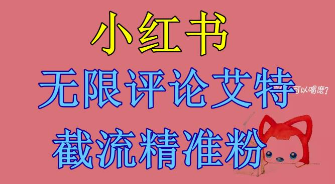 【副业项目6846期】小红书无限评论艾特截流精准粉（软件+教程）-宏欣副业精选