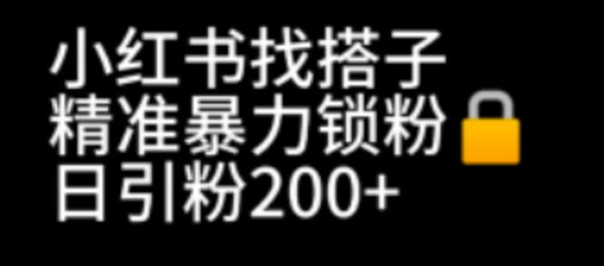 【副业项目7040期】小红书找搭子暴力精准锁粉+引流日引200+精准粉-宏欣副业精选