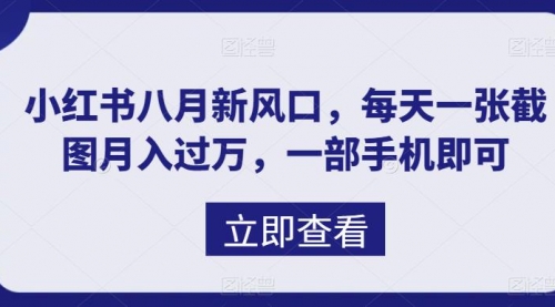 【副业项目7078期】八月新风口，小红书虚拟项目一天收入1000+-宏欣副业精选