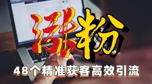 【副业项目7097期】独家分享48个引流绝技，再没粉丝只能怪自己了！-宏欣副业精选