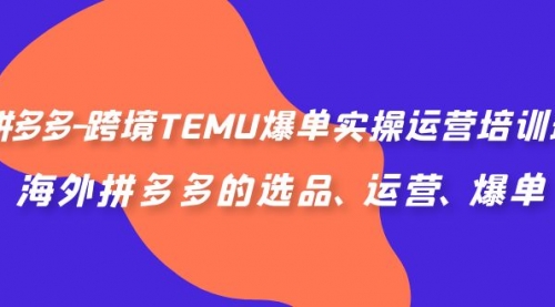 【副业项目7128期】拼多多-跨境TEMU爆单实操运营培训班，海外拼多多的选品、运营、爆单-宏欣副业精选