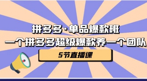 【副业项目第7171期】拼多多·单品爆款班，一个拼多多超级爆款养一个团队-宏欣副业精选