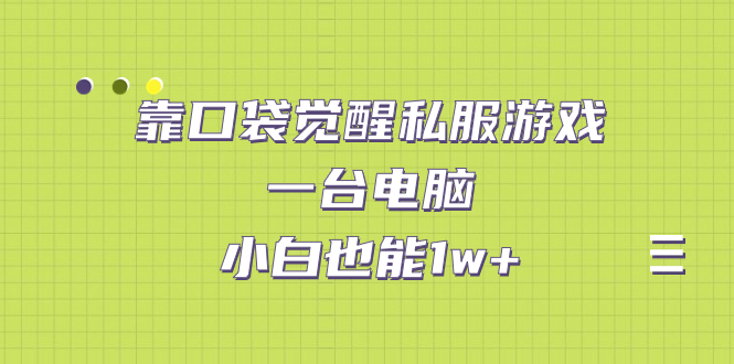 【副业项目7248期】靠口袋觉醒私服游戏，一台电脑，小白也能1w+（教程+工具+资料）-宏欣副业精选