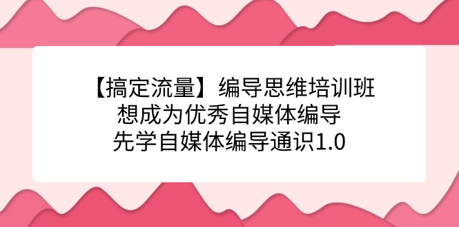 【副业项目7456期】编导思维培训班，想成为优秀自媒体编导先学自媒体编导通识1.0-宏欣副业精选