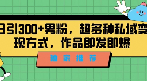 【副业项目7191期】独家推荐！日引300+男粉，超多种私域变现方式-宏欣副业精选