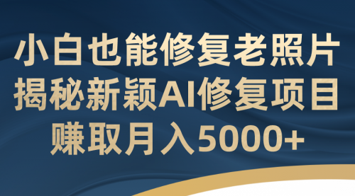 【副业项目7218期】小白也能修复老照片！揭秘新颖AI修复项目-宏欣副业精选