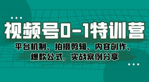 【副业项目7596期】视频号0-1特训营：平台机制、拍摄剪辑、内容创作、爆款公式，实战案例分享-宏欣副业精选