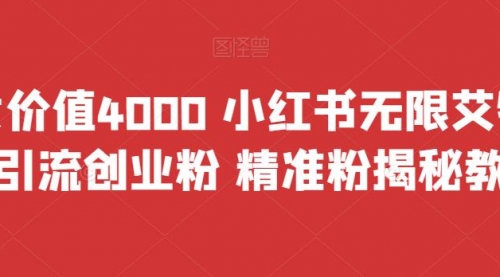 【副业项目7956期】价值4000 小红书无限艾特暴力引流创业粉 精准粉揭秘教程-宏欣副业精选