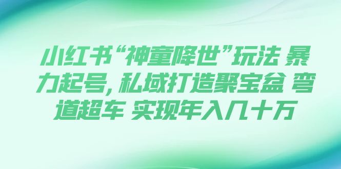 【副业项目7983期】小红书“神童降世”玩法 暴力起号,私域打造聚宝盆-宏欣副业精选