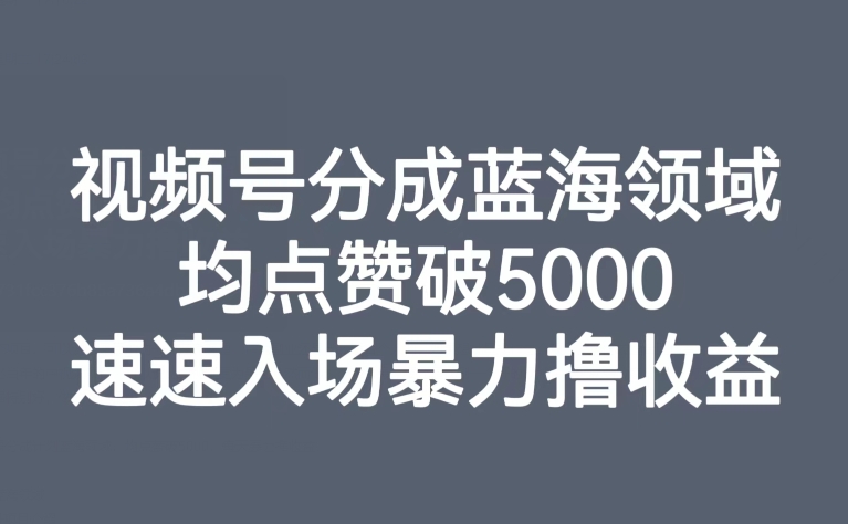 【副业项目8023期】视频号分成蓝海领域，均点赞破5000，速速入场暴力撸收益-宏欣副业精选