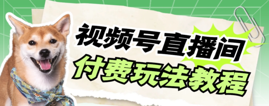 【副业项目7973期】视频号美女付费无人直播，轻松日入500+-宏欣副业精选