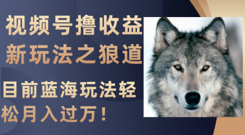 【副业项目8271期】视频号撸收益新玩法之狼道，目前蓝海玩法轻松月入过万！-宏欣副业精选