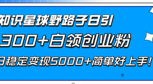 【副业项目8492期】知识星球野路子日引300+白领创业粉-宏欣副业精选