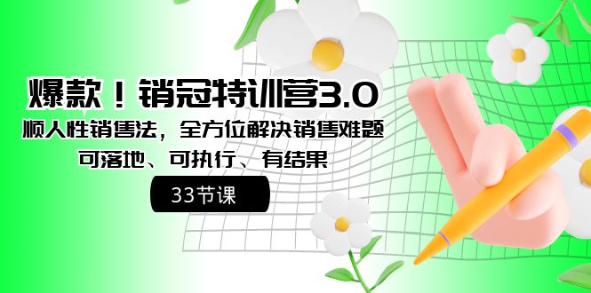 爆款！销冠特训营3.0之顺人性销售法，全方位解决销售难题、可落地、可执行、有结果-宏欣副业精选