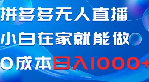 【副业项目8603期】拼多多无人直播，小白在家就能做，0成本日入1000+-宏欣副业精选