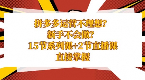 拼多多运营不理想？新手不会做？15节系列课+2节直播课-宏欣副业精选