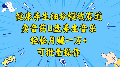 健康养生细分领域赛道，卖音药U盘养生音乐，轻松月赚一万+，可批量操作-宏欣副业精选