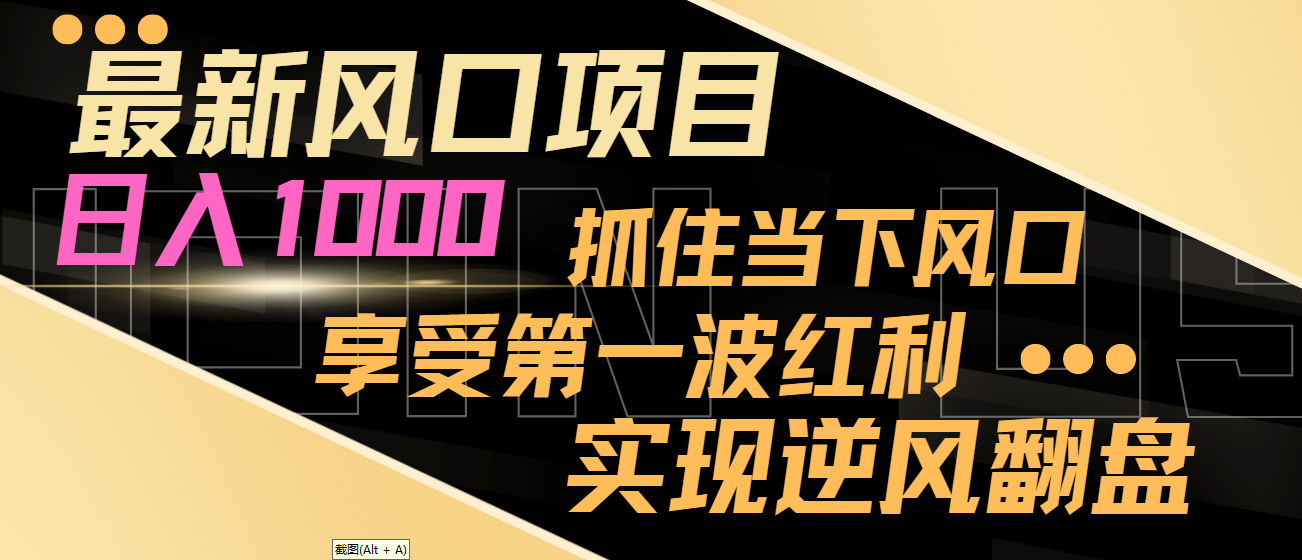 2024最新风口项目，日入过千，抓住当下风口，享受第一波红利，实现逆风翻盘-宏欣副业精选