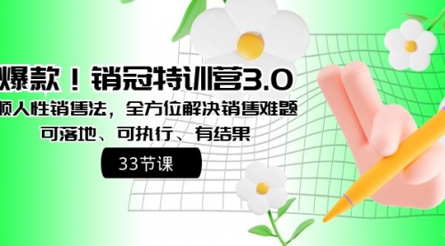 销冠特训营3.0之顺人性销售法，全方位解决销售难题、可落地-宏欣副业精选