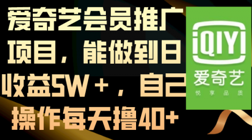 爱奇艺会员推广项目，能做到日收益5W＋-宏欣副业精选