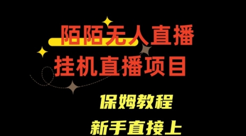 陌陌无人直播，通道人数少，新手容易上手-宏欣副业精选