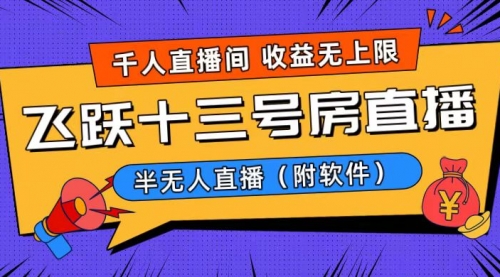 爆火飞跃十三号房半无人直播，一场直播上千人，日入过万！-宏欣副业精选