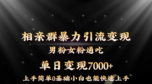 相亲群暴力引流男粉女粉通吃变现玩法，单日变现7000+保姆教学1.0-宏欣副业精选