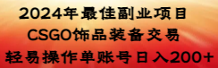 2024年最佳副业项目 CSGO饰品装备交易 轻易操作单账号日入200+-宏欣副业精选