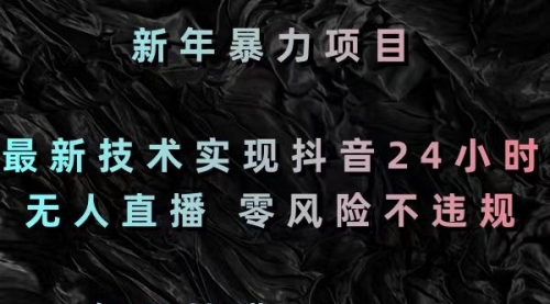 副业赚钱、2024最新技术实现抖音24小时无人直播 零风险不违规 每日躺赚3000-宏欣副业精选