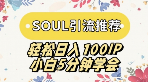 【副业】SOUL引流推荐 轻松日入100IP 小白5分钟学会-宏欣副业精选