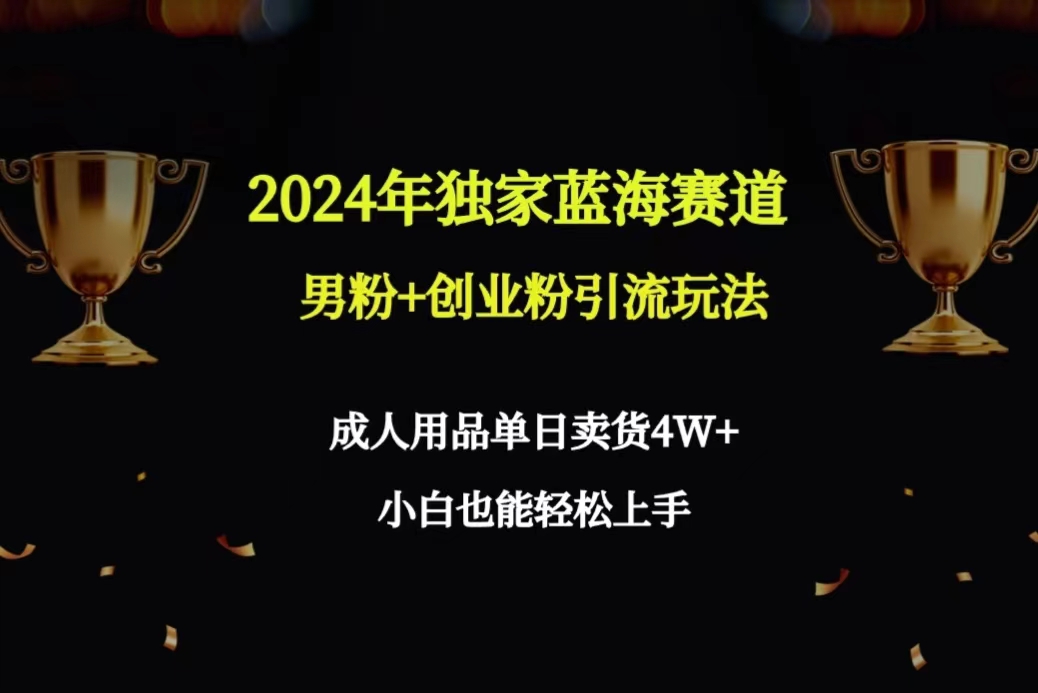 2024年独家蓝海赛道男粉+创业粉引流玩法，成人用品单日卖货4W+保姆教程-宏欣副业精选