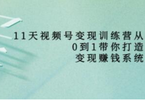 宏欣副业精选教你从0到1打造变现赚钱系统、11天视频号变现训练营-宏欣副业精选