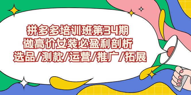 拼多多培训班第34期：做高价女装必盈利剖析 选品/测款/运营/推广/拓展-宏欣副业精选