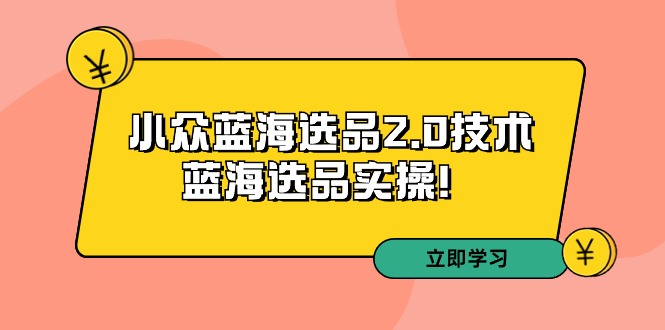 拼多多培训第33期：小众蓝海选品2.0技术-蓝海选品实操！-宏欣副业精选