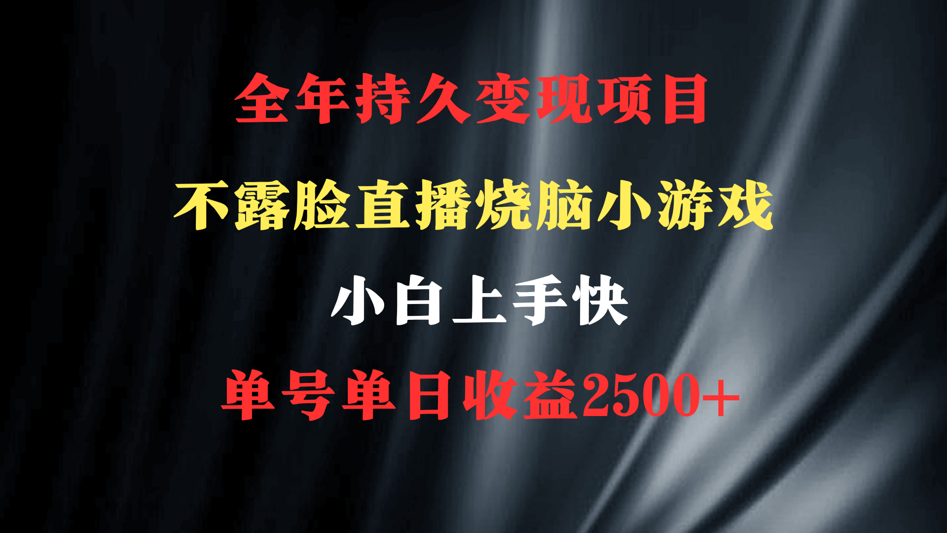 2024年最优项目，烧脑小游戏不露脸直播 小白上手快 无门槛 一天收益2500+-宏欣副业精选